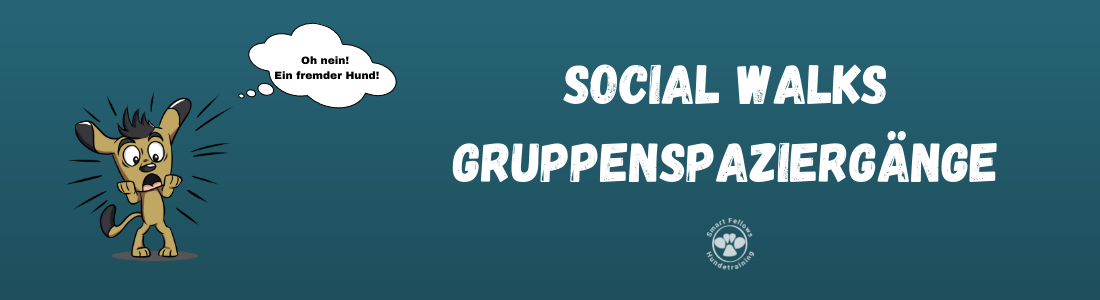 Social Walk