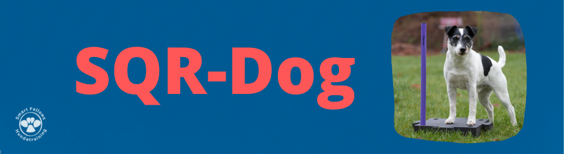 SQR-Dog (Fortgeschritten)