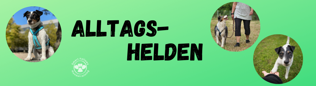 Alltagshelden