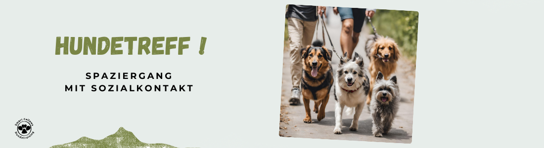 Hundetreff
