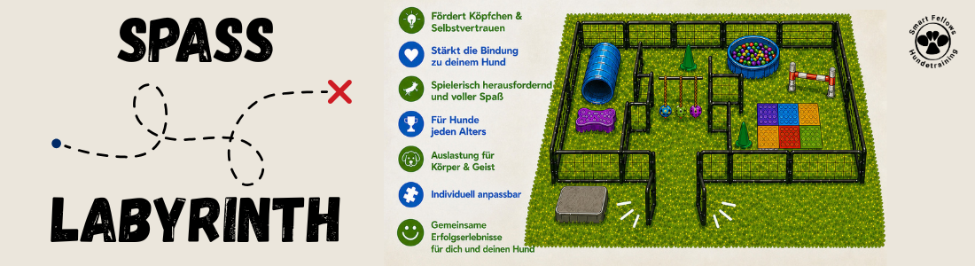 Spaß Labyrinth